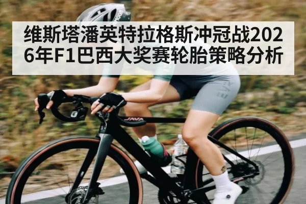 维斯塔潘英特拉格斯冲冠战2026年F1巴西大奖赛轮胎策略分析